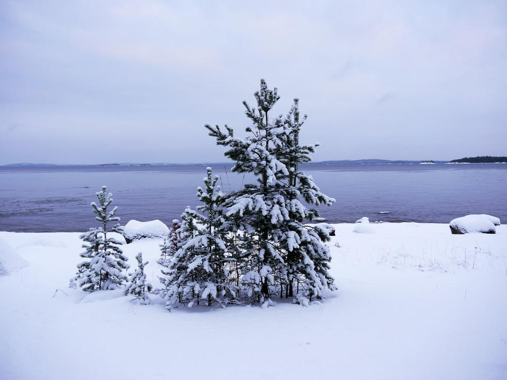 Pielislinna Kolinkylä Exterior foto
